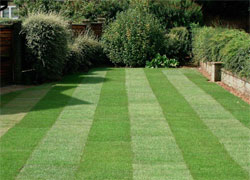 STS Essex Turfed Garden